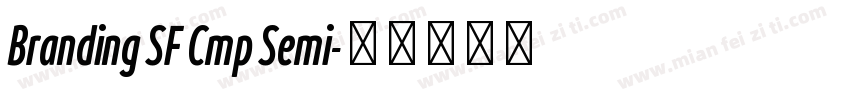 Branding SF Cmp Semi字体转换